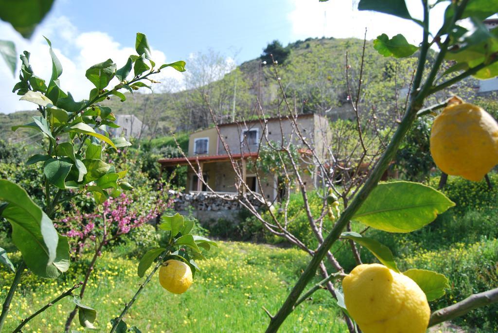 Al Melograno B&B Бельмонте-Калабро Номер фото