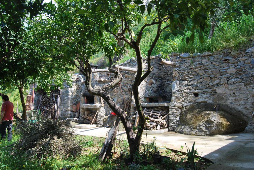 Al Melograno B&B Бельмонте-Калабро Номер фото